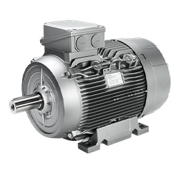 Exclusively Intended For Converter Operation Are Siemens Electric Motors.