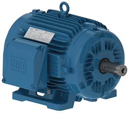 High-Powered Weg Electric Motors With Cast Iron Frame, Lower Noise.